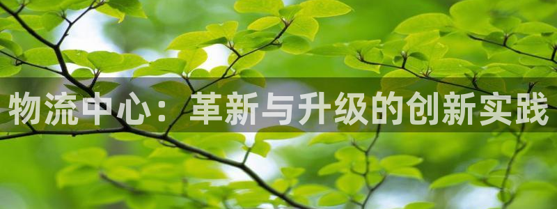 旺财28充值为什么充不了：物流中心：