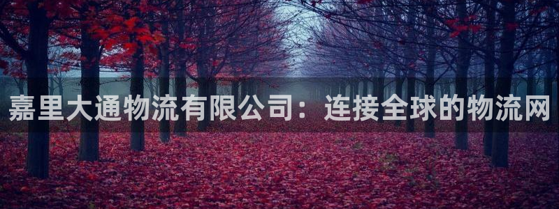 旺财28下载二维码：嘉里大通物流有限