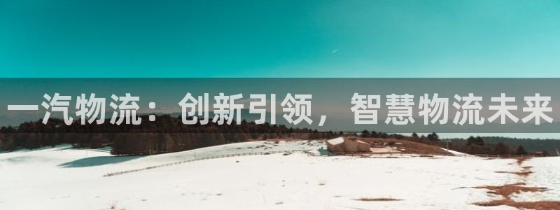 旺财28注册问一问：一汽物流：创新引