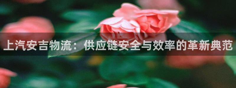 旺财28加拿大2.8预测在线预测：上