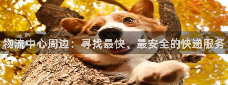 旺财28人工客服电话是什么：物流中心