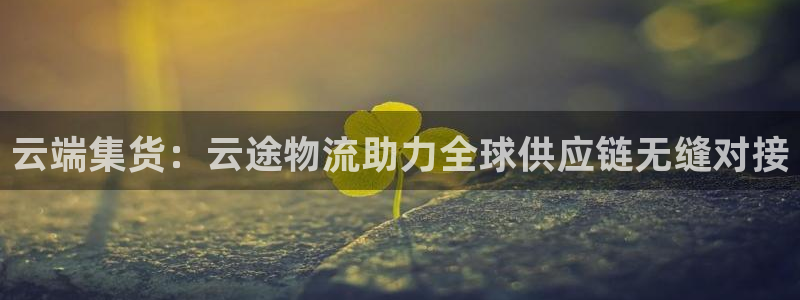 加拿大旺财28是什么：云端集货：云途物流助力全球供应链无缝对