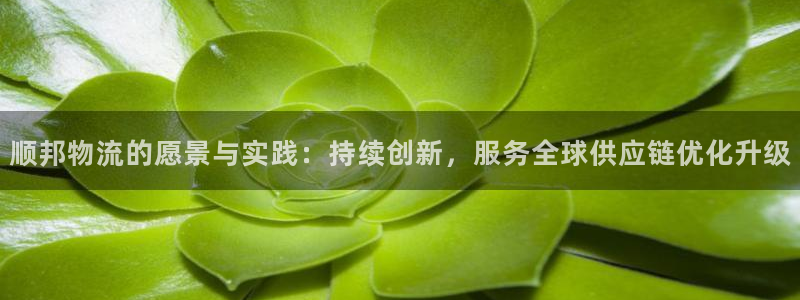 旺财28比特28预测在线预测：顺邦物流的愿景与实践：持续创新