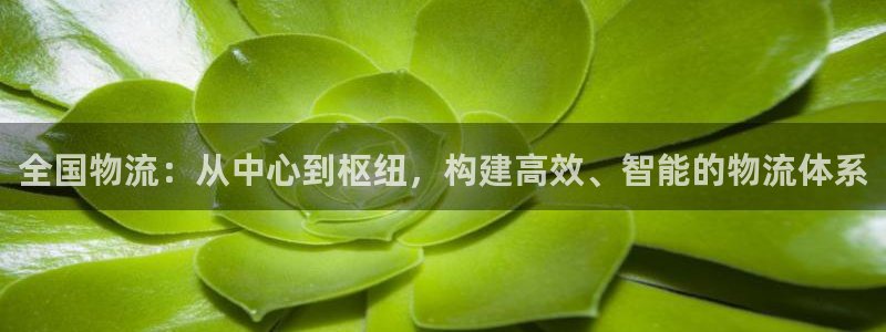 旺财28加拿大技巧：全国物流：从中心