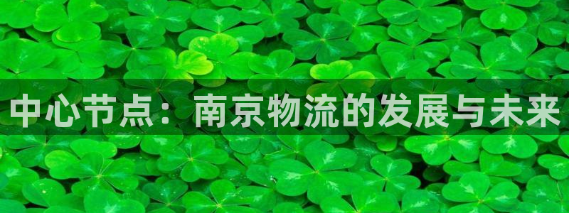 旺财28是正规软件吗：中心节点：南京