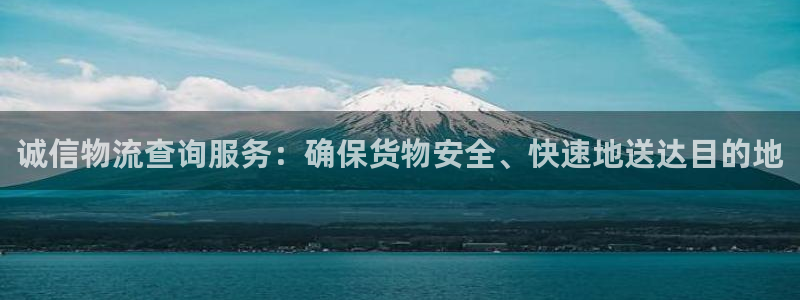 旺财28官网链接：诚信物流查询服务：
