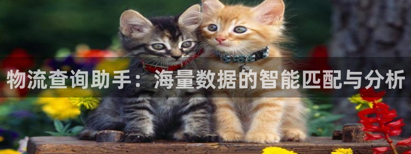 旺财28注册步骤：物流查询助手：海量