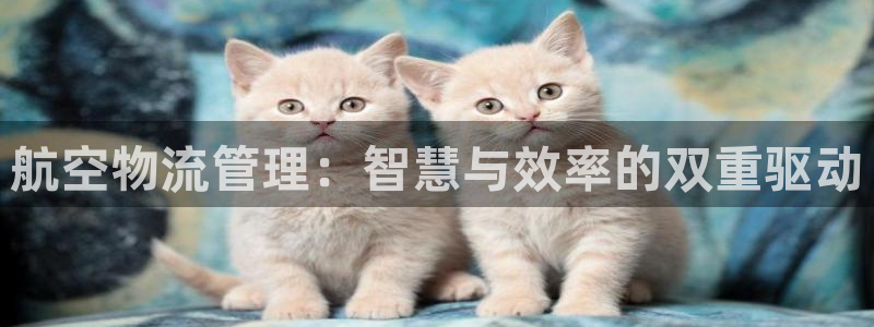 旺财28推广链接是多少粉丝：航空物流