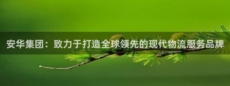 旺财28反水：安华集团：致力于打造全