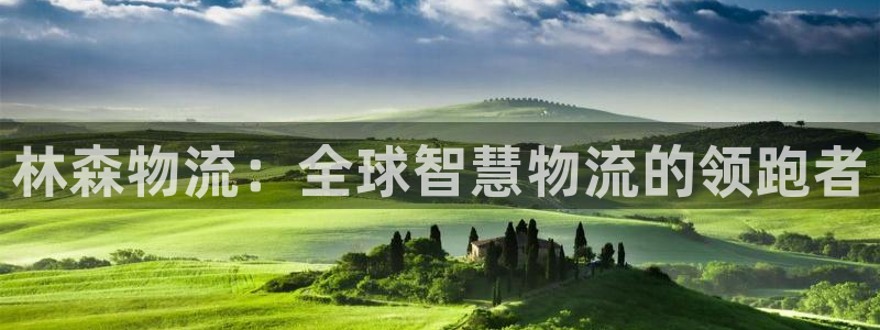 旺财28官方网站预测：林森物流：全球