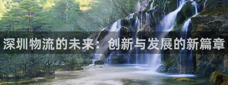 旺财28黑钱：深圳物流的未来：创新与
