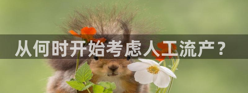 旺财28为什么打不开