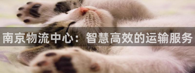 旺财28预测加拿大：南京物流中心：智