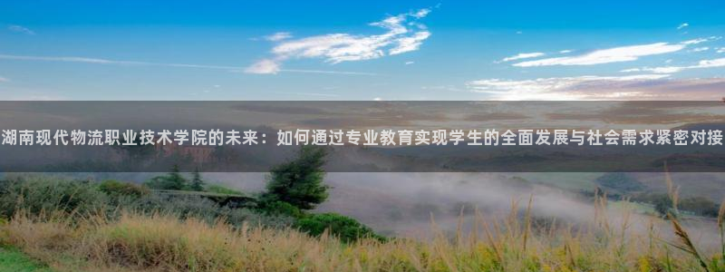 旺财28注册二维码：湖南现代物流职业