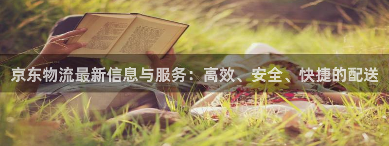 旺财28登录不上咋回事：京东物流最新
