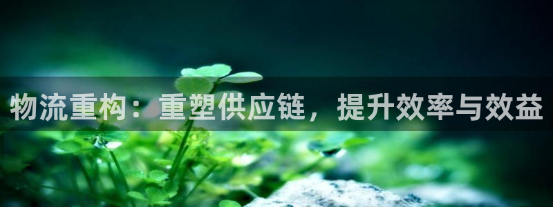 旺财28链接是什么：物流重构：重塑供