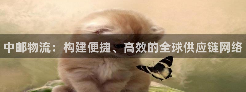 旺财28链官网：中邮物流：构建便捷、