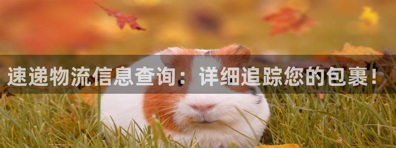 旺财28官网版下载：速递物流信息查询