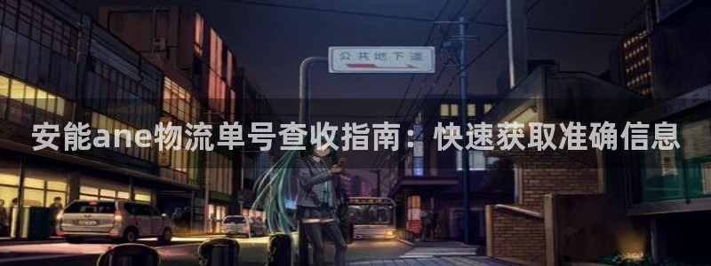 旺财28官网下载APP：安能ane物流单号查收指南：快速获取