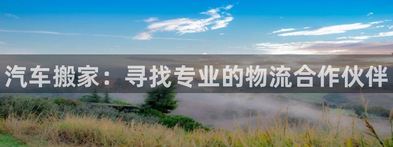 旺财28反水：汽车搬家：寻找专业的物