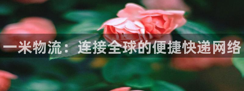 旺财28注册二维码：一米物流：连接全球的便捷快递网络