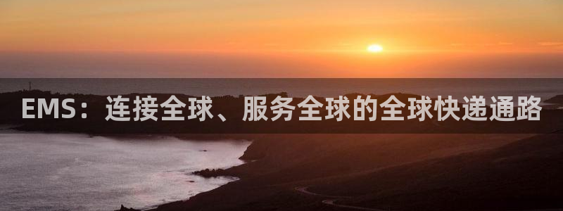 旺财28加拿大6.0