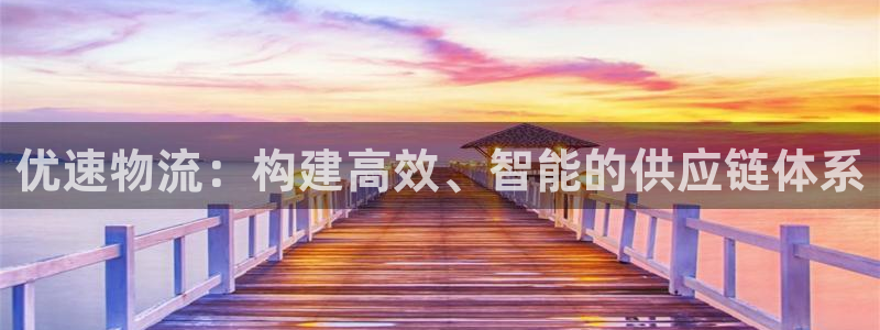 旺财28初始资金密码是什么：优速物流