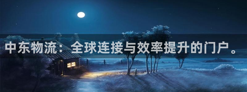 旺财28登录网：中东物流：全球连接与