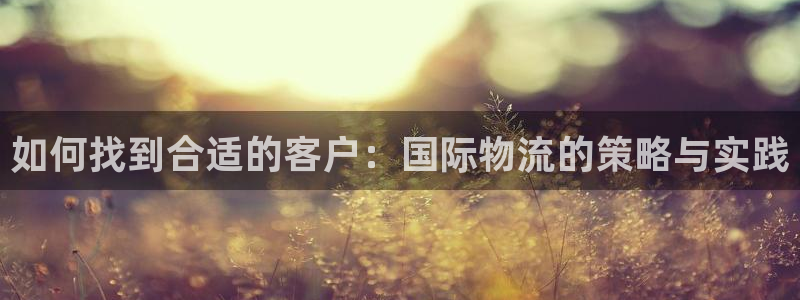 旺财28登录不上咋回事：如何找到合适