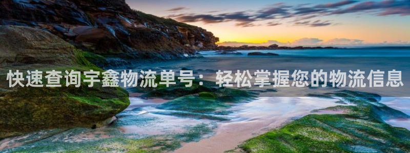 旺财28玩法：快速查询宇鑫物流单号：