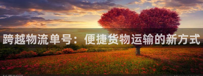 旺财28官网入口：跨越物流单号：便捷货物运输的新方式
