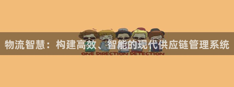 旺财28自行车图片：物流智慧：构建高