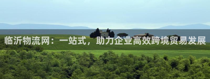 旺财28黑钱：临沂物流网：一站式，助力企业高效跨境贸易发展