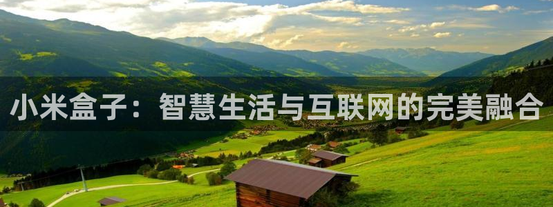 jrkan低调看高清直播nba：小米盒子：智慧生活与互联网的完美融合